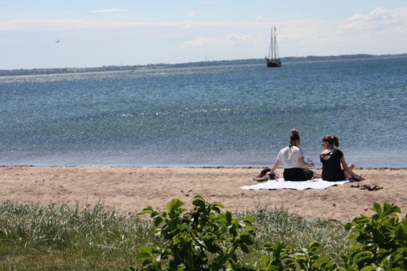 Отель Rosenvold Strand Camping Stouby Экстерьер фото